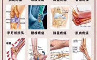 牛骨髓肽促进骨骼生长发育，骨髓多肽对骨科疾病的营养作用！