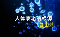 小分子肽与抗氧化抗衰老