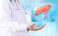 干细胞与肝脏，干细与养肝护肝
