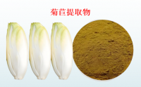 菊苣酸的主要来源,菊苣酸的功效与作用及有效成分的药理机制.