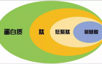 小分子肽和蛋白粉哪个对身体好，应该如何选择？