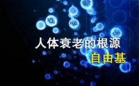 小分子肽的的功效与作用，肽与抗氧化抗自由基