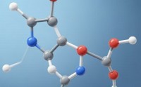 复合多肽的作用机制及其对健康的核心功效解析