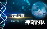 胶原蛋白肽具备有什么功能?多少钱一盒