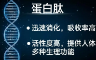 肽和蛋白质有什么区别？为什么肽比蛋白质更有优势？