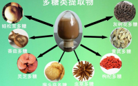 21世纪是多糖的世纪，多糖的应用与对健康的影响越来越普及