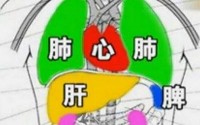 五脏怎么排毒？简单有效的五脏排毒方法！