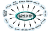 真菌活性多糖与细胞健康