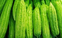 为什么调控血糖吃苦瓜肽比较好？苦瓜肽调节血糖作用机理！