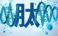 活性肽对促进组织修复与免疫调节的作用及应用分析