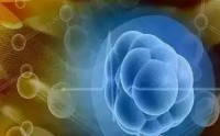 美极客小分子肽与氨基酸和蛋白粉的差别