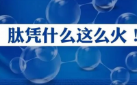 小分子肽公认的10个作用，医生不得不承认
