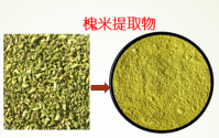 槐米槲皮素对过敏性疾病的作用机制,应用效果如何？