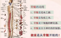 为什么养生一定补骨髓？骨髓——造血之源、免疫之本！