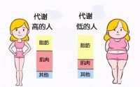 代谢功能差是什么原因,新陈代谢慢吃什么能提高代谢?