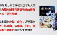复合多糖与干细胞是什么关系？21世纪是多糖的世纪