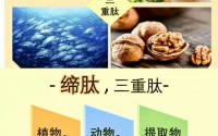 缔肽效果怎么样？缔肽详细介绍