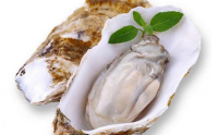 什么是牡蛎肽？长期喝牡蛎肽有哪些好处？