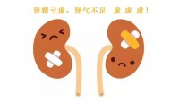 肾气不足的原因是什么,肾气不足如何调理?