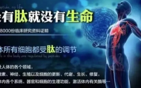 为什么说补肽就是补生命？肽的作用原理？