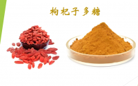 枸杞多糖对抗氧化和抗衰老作用原理是什么？