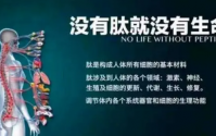 肽是什么？服用小分子复合肽的9大好处