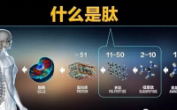 美极客小分子肽与苹果干细胞是第几代保健营养品