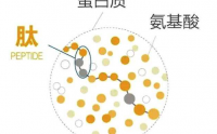 什么是肽,鱼胶原蛋白肽好吗?