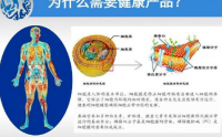 营养改善体质与对症治疗的区别