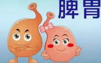 英年早逝的人共同的特征——脾胃衰败