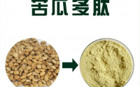 植物胰岛素苦瓜胜肽降血糖原理