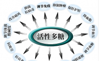 活性多糖有哪些功能,活性多糖的应用有哪些?