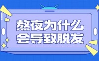 熬夜为什么会脱发,熬夜脱发要吃什么?