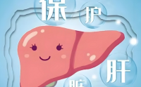玉米肽对肝脏有什么作用,玉米肽养肝护肝有用吗?