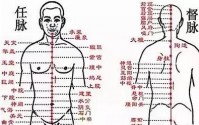 经络不通，百病从生！经络不通如何快速打通？康贝素食以通为补，大补元气！