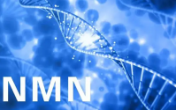 NMN科普：NMN是什么？NMN有哪些功效与作用