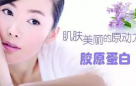 女人,你需要多补一下胶原蛋白,您更需要补充复合胶原蛋白肽!