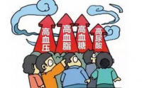 小分子肽对四高人群的作用——小分子生物活性肽与高血压