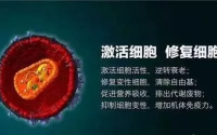 美极客小分子肽需要坚持服用才会达到明显效果