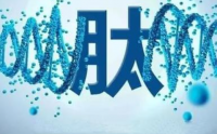 肽之初小分子肽效果好吗？哪里有销售