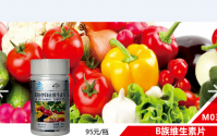 荣格产品目录（二），荣格松花粉与螺旋藻片
