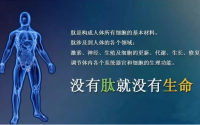 肽是中药还是西药？能治疗什么疾病？