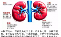 补元气对增强肾功能作用好处,补肾元气吃什么效果好？