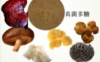 真菌多糖适用于哪些症状,真菌多糖吃多久有效果?
