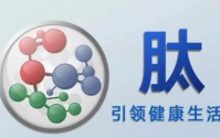 小分子肽——生命之源，活性肽品牌