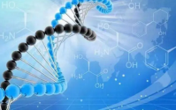 服用小分子肽能达到什么抗衰老效果