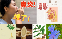 鼻炎吃什么药物效果好？鼻炎怎么能治疗好
