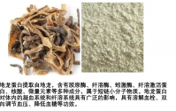 地龙蛋白肽调节血压的作用,地龙蛋白肽对高血压的应用效果好吗？