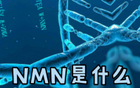 NMN是什么？NMN对健康的改善主要表现在哪些方面