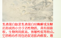 乳清蛋白肽对身体的好处,乳清蛋白肽能调节代谢功能吗?